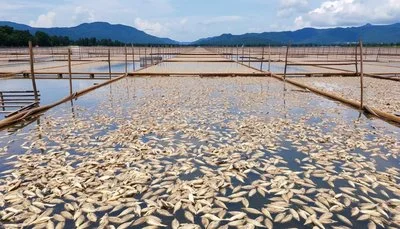 product-400-229 product-400-229