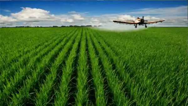 product-600-338 product-600-338