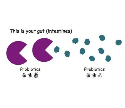 blog-400-346 blog-400-346