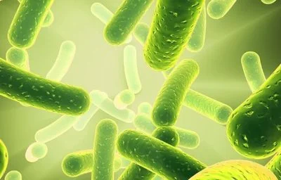 blog-400-256 blog-400-256