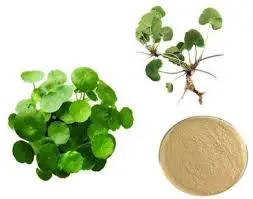 blog-253-199 blog-253-199