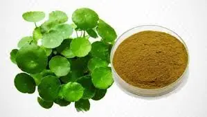 blog-299-169 blog-299-169