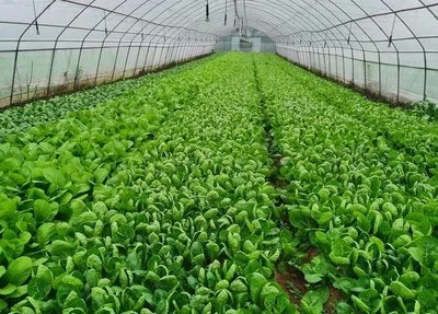 product-400-287 product-400-287