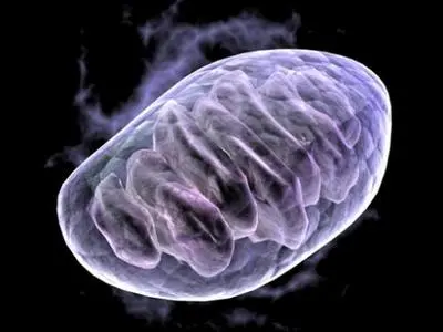 blog-400-300 blog-400-300