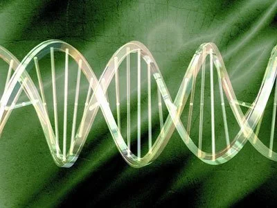 blog-400-300 blog-400-300