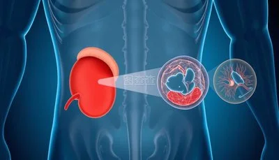 Prostate Health
