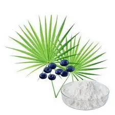 saw palmetto extract saw palmetto extract