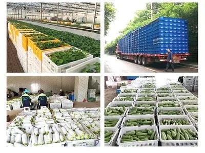 Agricultural and Storage Agricultural and Storage