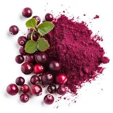  Cranberry Extract 