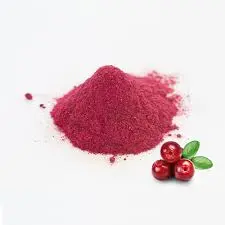 Concentrate powder Concentrate powder