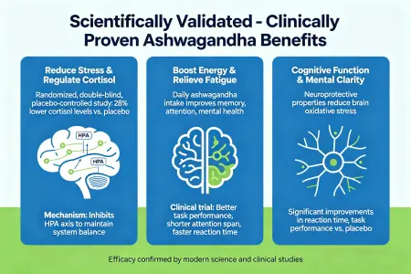 Scientifically Proven - Clinically shown to reduce stress and boost energy