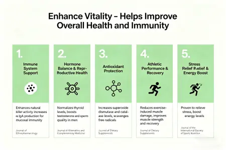 Supports Vitality - Helps enhance overall wellness and immune health Supports Vitality - Helps enhance overall wellness and immune health