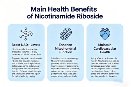 Top Health Benefits of Nicotinamide Riboside