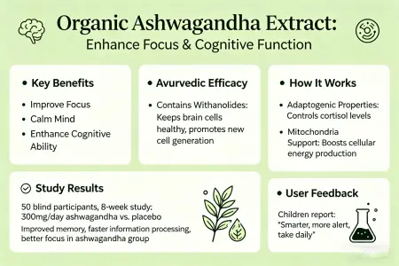 Boost Focus with Organic Ashwagandha Extract Boost Focus with Organic Ashwagandha Extract