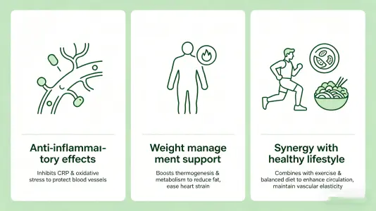 Green Tea Extract Powder: Protecting Cardiovascular Function