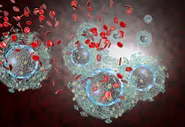 inflammatory inflammatory