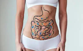Digestive Health and Comfort