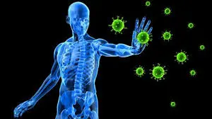 Anti-Inflammatory Support