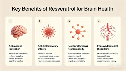 Top Benefits of Resveratrol for Brain Health