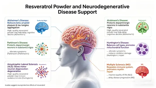 Resveratrol Powder and Neurodegenerative Support