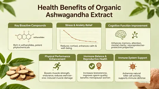 Health Benefits of Organic Ashwagandha Extract Health Benefits of Organic Ashwagandha Extract