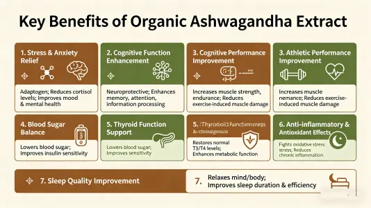 Top Benefits of Organic Ashwagandha Extract for Wellness Top Benefits of Organic Ashwagandha Extract for Wellness