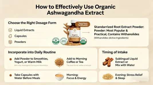 Use Organic Ashwagandha Extract Effectively Use Organic Ashwagandha Extract Effectively