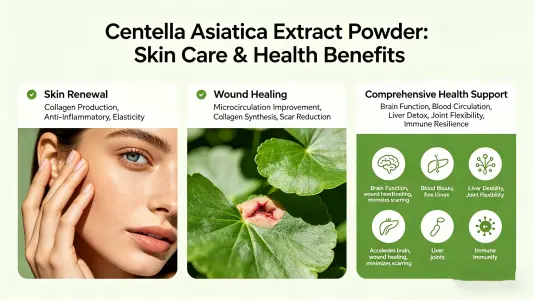 Using Gotu Kola Extract Powder for Skin and Wellness Using Gotu Kola Extract Powder for Skin and Wellness