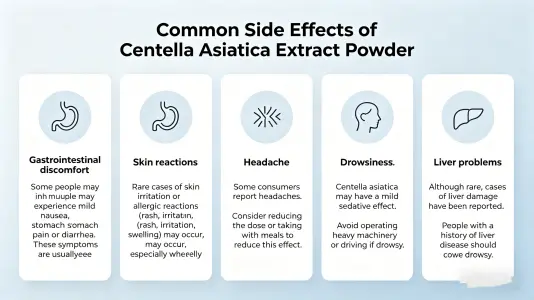 Common Side Effects of Gotu Kola Extract Powder