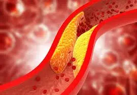 Anticoagulant Mechanisms and Inherent Risks