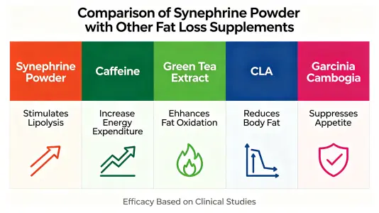 Synephrine Powder vs Other Fat Loss Supplements Synephrine Powder vs Other Fat Loss Supplements