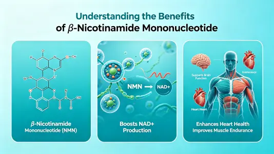 Understanding Beta Nicotinamide Mononucleotide Benefits Understanding Beta Nicotinamide Mononucleotide Benefits