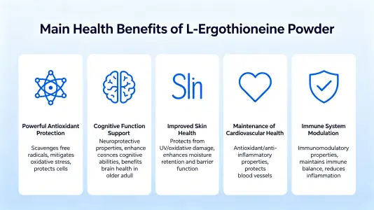 Top Health Benefits