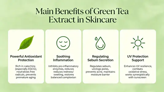 Top Benefits of Green Tea Extract in Skincare Top Benefits of Green Tea Extract in Skincare