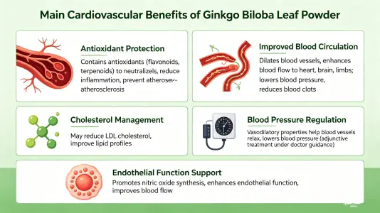 Top Cardiovascular Benefits of Ginkgo Leaf Powder Top Cardiovascular Benefits of Ginkgo Leaf Powder