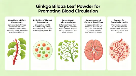 Ginkgo Leaf Powder for Healthy Blood Flow