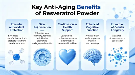 Top Anti-Aging Benefits of Resveratrol Powder
