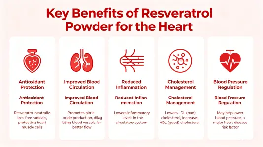 Top Heart Benefits of Resveratrol Powder Top Heart Benefits of Resveratrol Powder