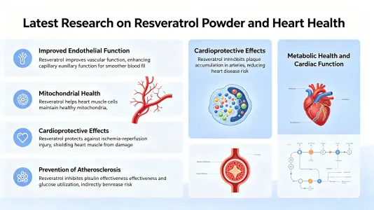 Latest Research on Resveratrol Powder and Heart Wellness Latest Research on Resveratrol Powder and Heart Wellness