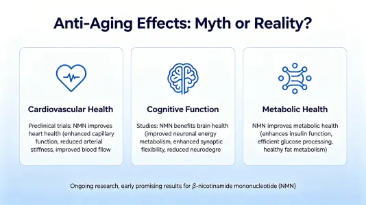 Anti-aging effects Anti-aging effects