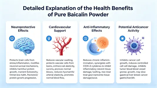 Health Benefits of Pure Baicalein Powder Explained