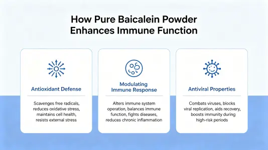  Pure Baicalein Powder Supports Immune Function