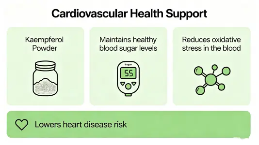 Cardiovascular Health Support Cardiovascular Health Support