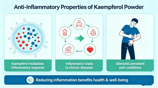 Anti-Inflammatory Properties