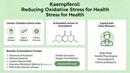 Oxidative Stress Reduction Oxidative Stress Reduction