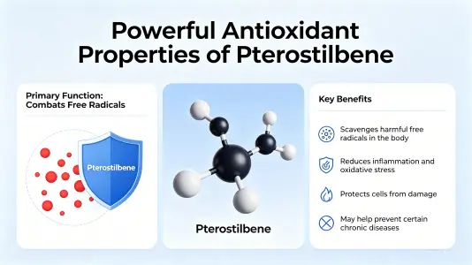 Potent Antioxidant Properties