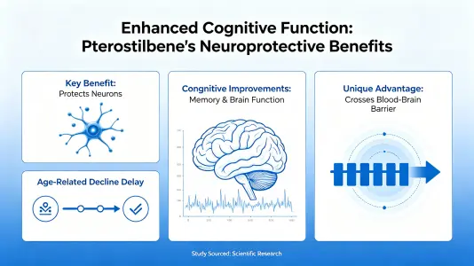 Cognitive Function Enhancement Cognitive Function Enhancement