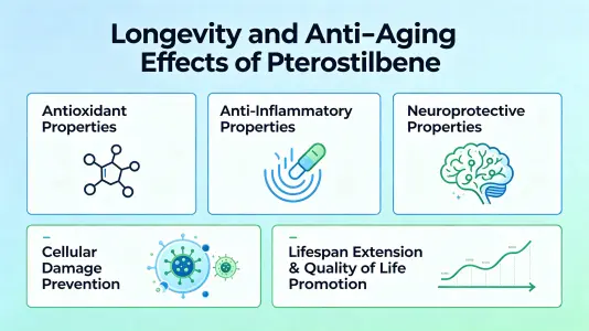 Longevity and Anti-Aging Effects
