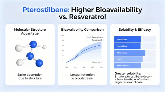 Enhanced Bioavailability Enhanced Bioavailability