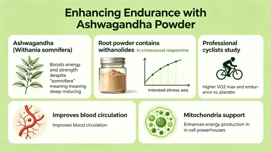 Boosting Stamina with Withania Somnifera Powder Boosting Stamina with Withania Somnifera Powder